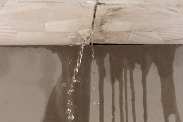 Professional Water Damage Repair technician working in Huntington, WV